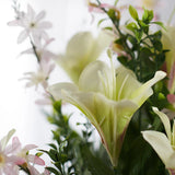 Cream and Green Artificial Lily and Daisy 23" Floral Bush Green Plant