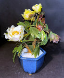 Vintage Glass Yellow Peony Bonsai Potted Flower FREE SHIPPING Peony