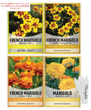 Gardeners Basics, Marigold Seeds for Planting Outdoors (4 Variety Pack) Brown Garden Plants