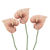 3Pcs 13" Artificial Anthurium Lily Flowers Floral Bouquet Decor, Tan Lily