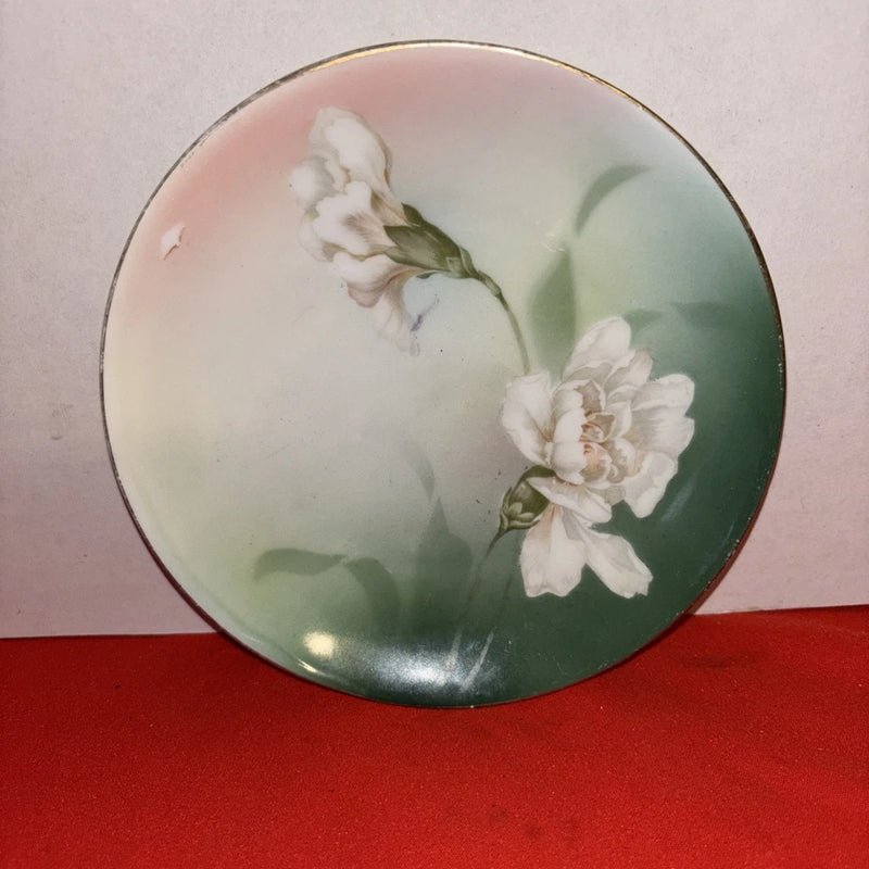 RS Germany Handpainted Carnation Plate Royal Cologne 6Ó Plate Pink Green Sage Carnation