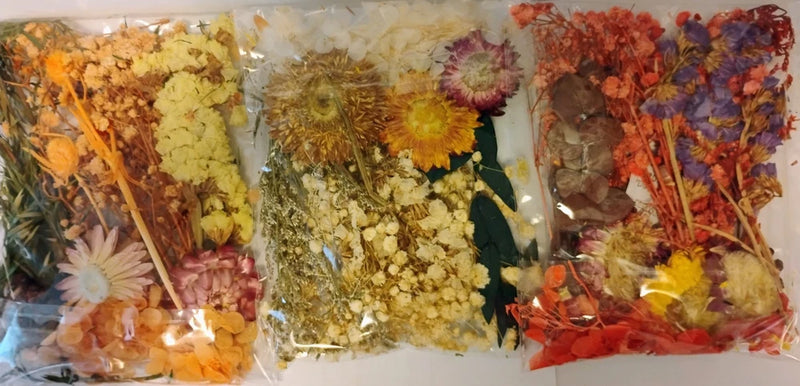 Assorted pressed dried flowers in clear bags, mixed orange yellow red and blue blooms