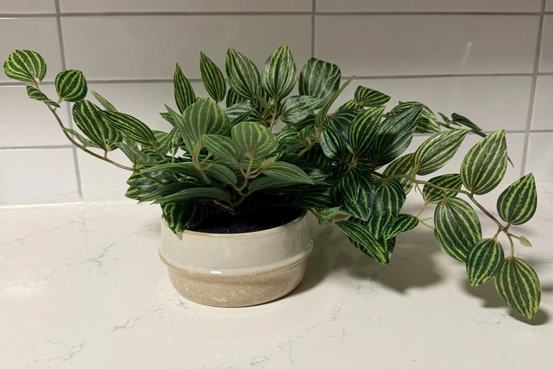 NEW!  Ceramic Potted Faux Artificial Plant 6Ó H 15Ó L.  Office Or Home Plant Green Plant