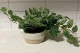 NEW!  Ceramic Potted Faux Artificial Plant 6Ó H 15Ó L.  Office Or Home Plant Green Plant