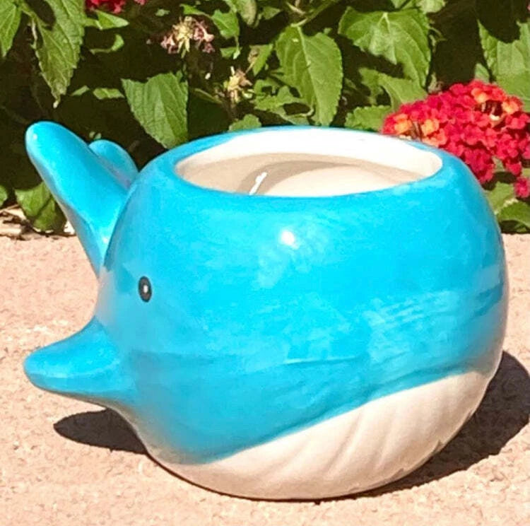 Ceramic Blue Whale Succulent Planter Plant Pot Beach Garden Decor Garden Plants