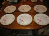 Vtg  PINK CARNATION Royal Court   Set of 6  Bread Cake Plates 6 1/4