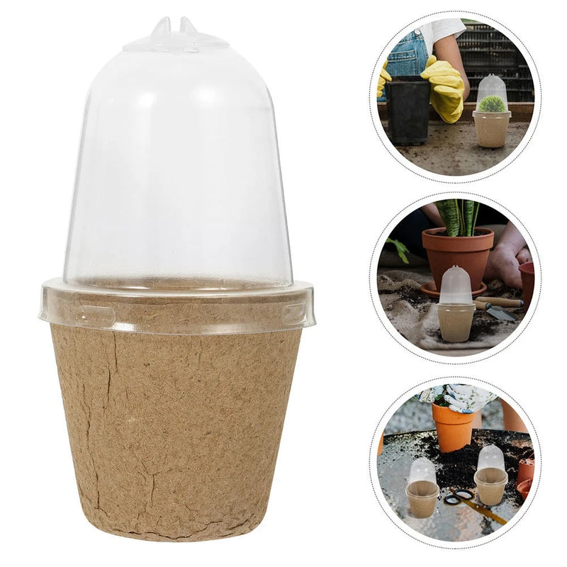 25 Pcs Plastic Nursery Grow Pots with Lid Clear Small for Indoor Plants Garden Plants