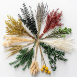 12 Kind Dried Flowers Set Including Lavender Eucalyptus Wheat Bunny Tails Crafts Dried Flower