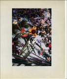 1965 Vintage Print Japanese Ikebana Flower Floral Sunflower Lily Hydrangea Iris Hydrangea