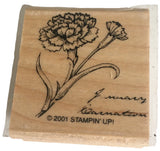 Stampin Up Rubber Stamp Flower of the Month January Carnation Garden Card Making Carnation