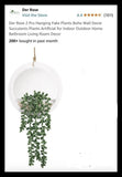 Fake Succulent Plant Artificial White Wall Hanging Decor Green Plant