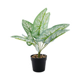 Green Plant Simulation Leaves for Decorative Purposes Space Saving Design Green Plant