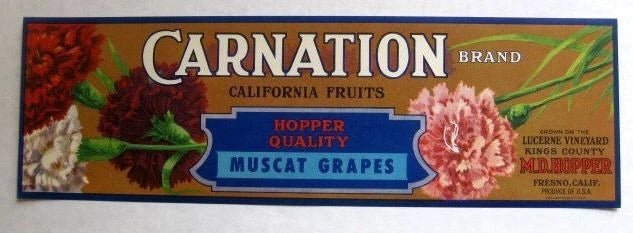 Vintage fruit crate label for Carnation brand Muscat grapes, blue hopper quality badge