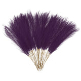 50 Pcs Faux Pampas Grass 52cm/20.5" Dried Pampas Grass Decor, Dark Purple Pampas Grass