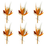 6 Pcs Mini Pampas Grass Dried Flower Bouquet Baby's Breath Boho DIY Gift Orange Pampas Grass