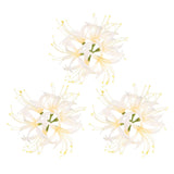 Artificial Flower Heads (7 Inch, Champagne) 3 PCS - Spider Lily Silk Flowers Lily