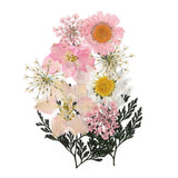 Dried Pressed Flowers Real Pressed Flowers Dry Leaves for DIY Craft Pink Dried Flower