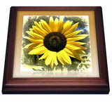 3dRose Yellow Sunflower Floral-Flowers Trivet with Ceramic Tile, 8 by 8", Brown Sunflower