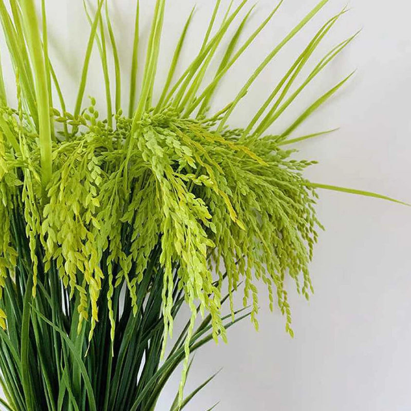 Fake Grain Paddy Ear of Rice Plant Green Plants Artificial for Home Decoratio... Green Plant
