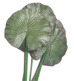 27'' Faux Foliage Realiatic Plant Lotus Leaf (Set of 9), 9" Leaves Decoration Green Plant