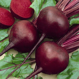 1200+ DETROIT DARK RED BEET SEEDS  FRESH HARVEST FOR GARDENS Garden Plants