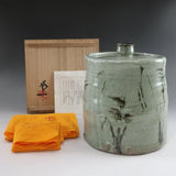 Ash-glazed iron-painted Japanese pampas grass water jar with replacement lac... Pampas Grass