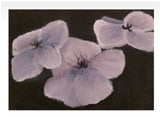 Original Hydrangea Petals Purple Flower Flowers Acrylic painting botanical Hydrangea