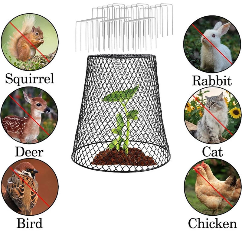 3PC Plant Wire Protective Cage Perfect for Safeguarding Your Garden Crops Garden Plants