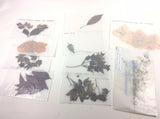 Dried Pressed Leaves & Flowers -Crafting, Resin, Card-Making - Homemade Dried Flower