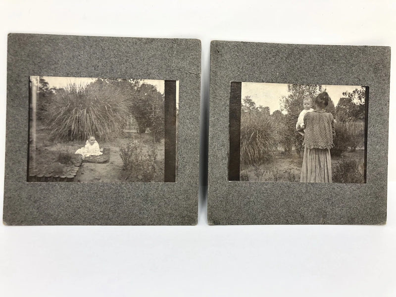 Lot 2 1930's Vintage Photo Pampas Grass Baby Garden Nanny Sepia Cabinet Card Pampas Grass
