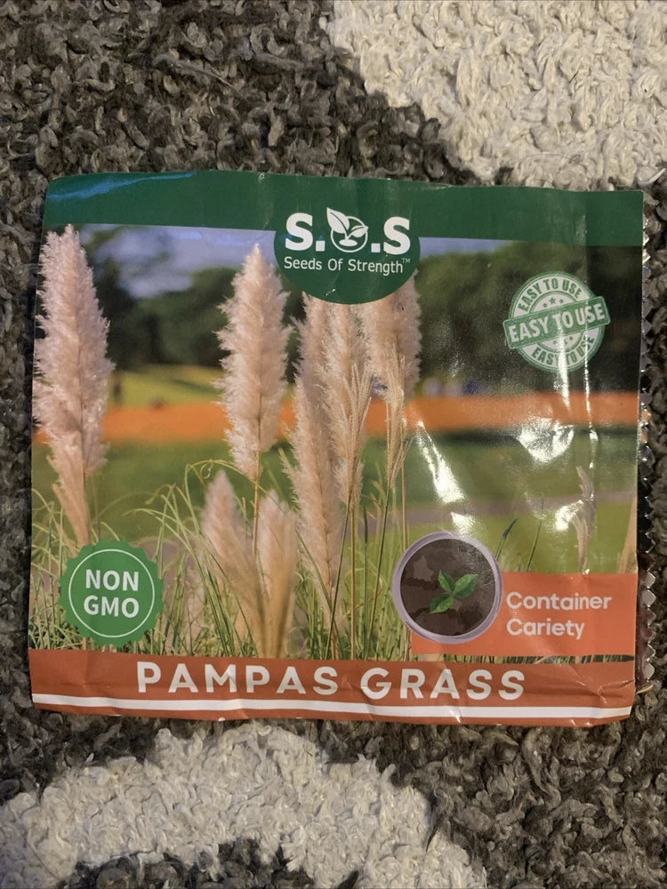 Giant White Pampas Grass 100 Seeds Pampas Grass