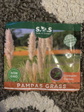 Giant White Pampas Grass 100 Seeds Pampas Grass