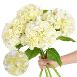 4Pcs Beige Hydrangea Artificial Flowers, 22.5In Latex Faux Real Touch Large H... Hydrangea