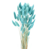 60pcs Natural Bunny Tails Dried Flowers 17" Mini Grass, Light Blue Dried Flower