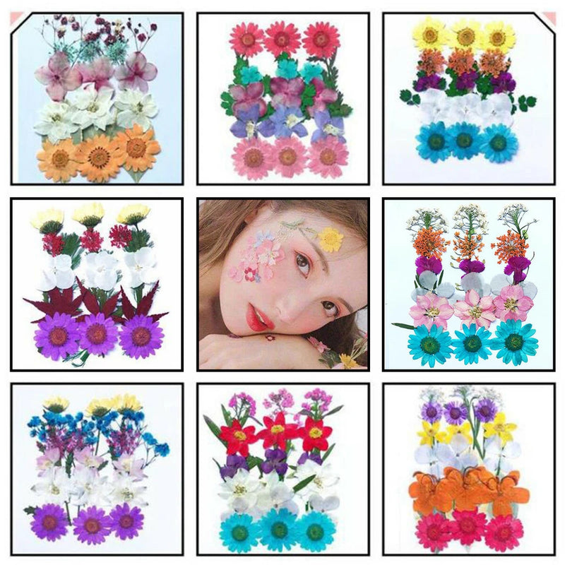 Real Pressed Dried Flowers Leaves Embellish For Epoxy Resin Jewelry Making Craft Dried Flower