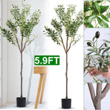 5.9FT Artificial Olive Tree in Planter Indoor Outdoor Fake Olive Plants w/Fruits Green Plant