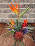 Medium Artificial bird of paradise tropical table centerpiece  ORANGE BIRD Lily