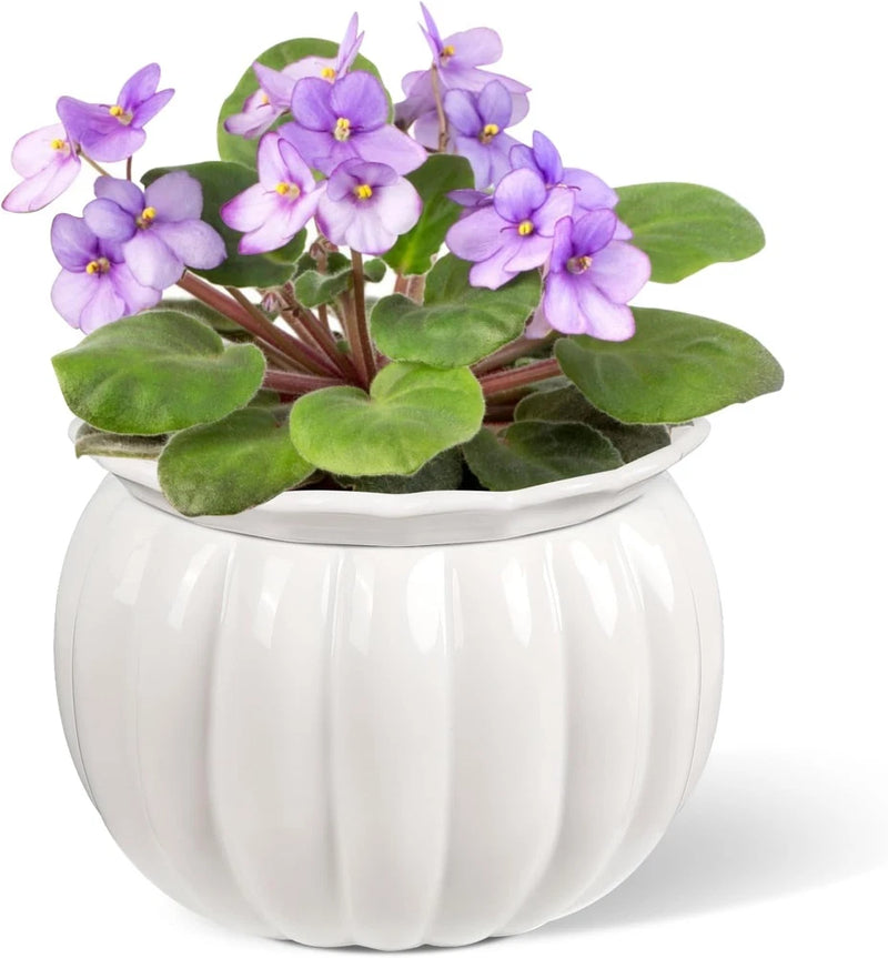 BUYMAX African Violet Pots, 6 Inch Pumpkin-Style Ceramic Easy Self Watering Plan Garden Plants
