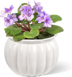 BUYMAX African Violet Pots, 6 Inch Pumpkin-Style Ceramic Easy Self Watering Plan Garden Plants
