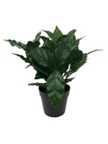 New IKEA FEJKA Artificial Potted Plant Sweet Bay 9 cm (3 _ ") 606.107.48 Green Plant