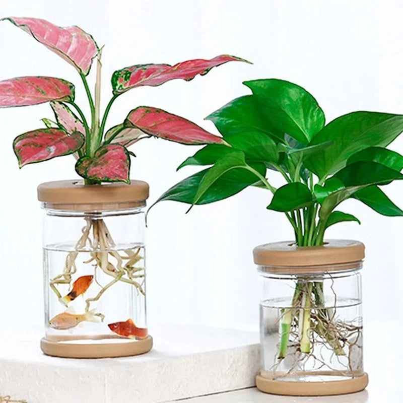 Breathable and Deform Resistant Flower Pot for Green and Healthy Plants Flowering Plants