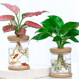 Breathable and Deform Resistant Flower Pot for Green and Healthy Plants Flowering Plants