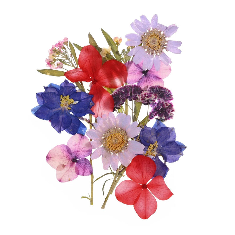Multicolor pressed dried flowers and leaves for DIY crafts