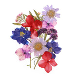 Dried Pressed Flowers Dry Floral Pressed Leaves for DIY Crafts Multicolor Dried Flower