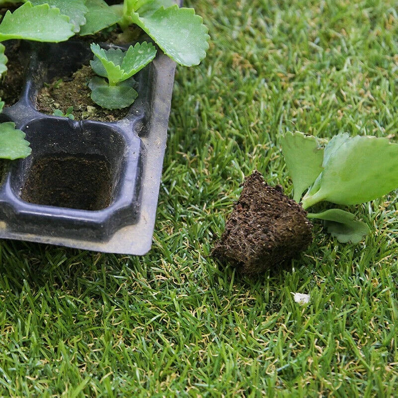 2 X Plastic Cell Plant Bedding Trays Pack Starter Garden Black 50/128 Cells Garden Plants