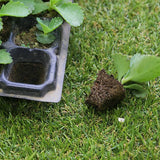 2 X Plastic Cell Plant Bedding Trays Pack Starter Garden Black 50/128 Cells Garden Plants