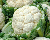 CAULIFLOWER SELF BLANCHE SNOWBALL SEEDS 600+ COOL weather VEGETABLE garden Garden Plants