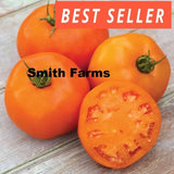 50+ Seeds Orange Slice Tomato Hybrid Juicy Easy to Grow Vegetable Garden Garden Plants