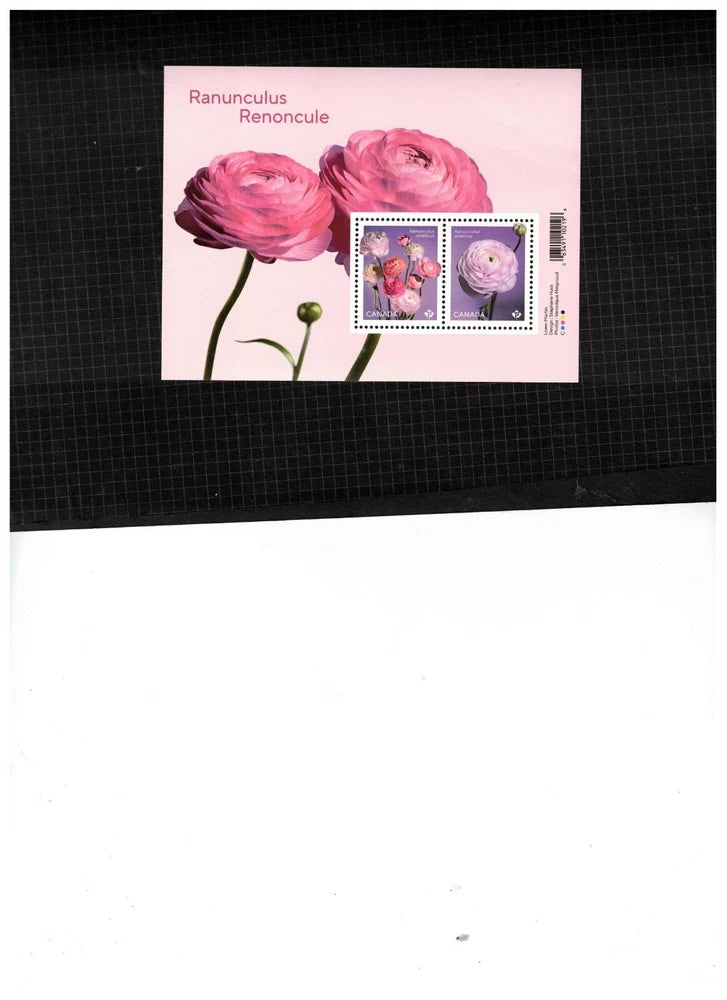 CANADA MARCH 2023  NEW  RANUNCULUS flower SS  2 "P" STAMPS  # new   SS 2023 Ranunculus