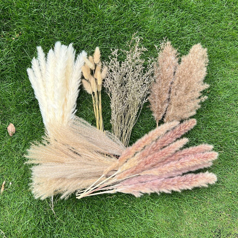 Pampas Grass Decor Set 100pcs 17in Natural Pampas Grass